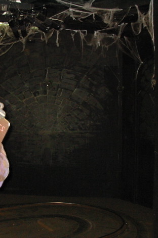 Spiders... why did it have to be spiders?